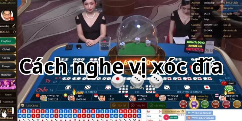 Tổng quan về Cách nghe vị xóc đĩa