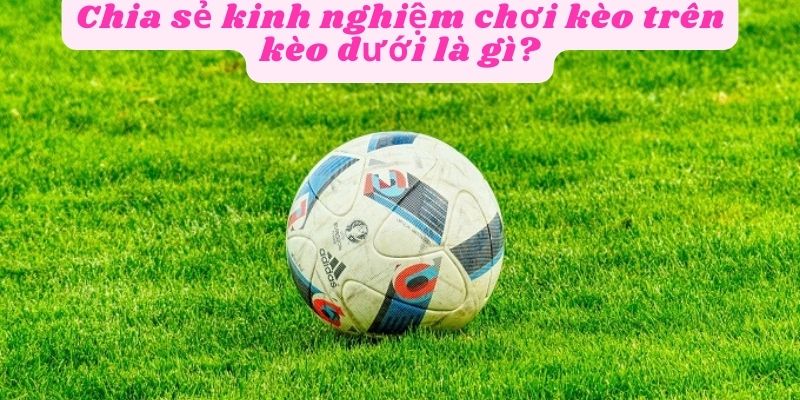 Kinh nghiệm chơi kèo trên kèo dưới hiệu quả