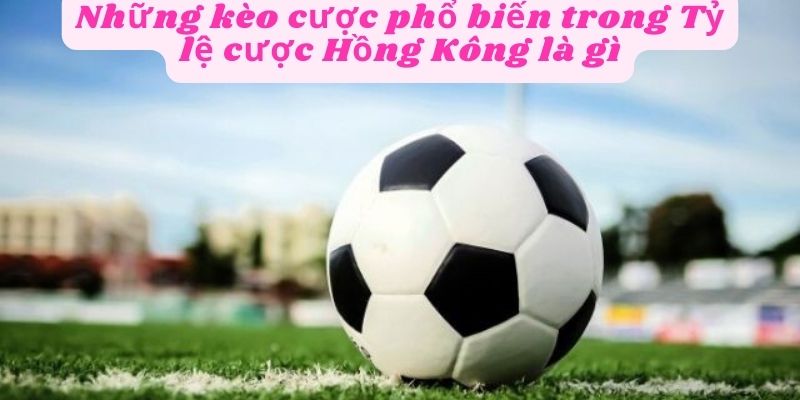 Các loại kèo trong tỷ cược Hồng Kông