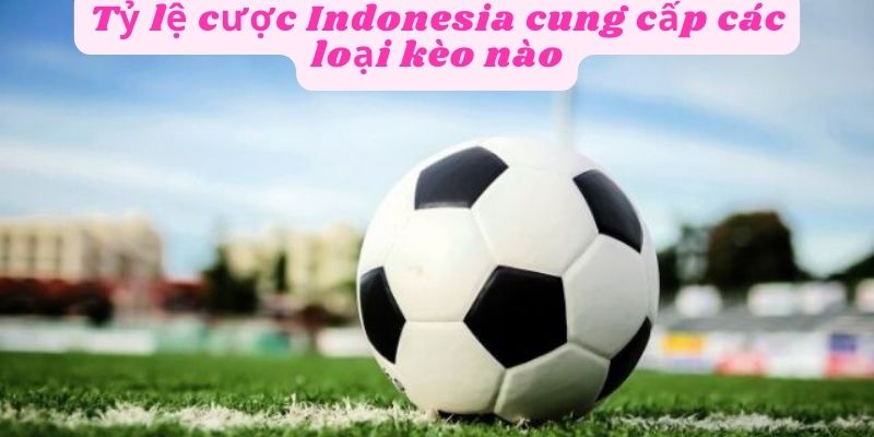 Các loại kèo cược trong tỷ lệ cược Indonesia