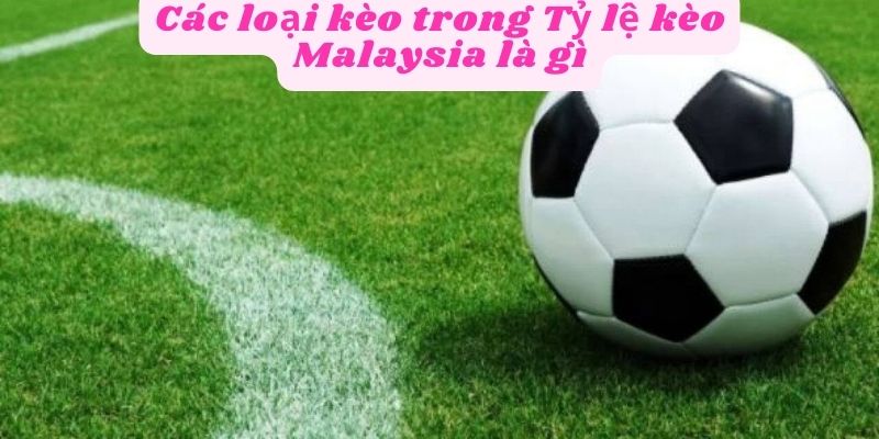 Các loại kèo trong tỷ lệ kèo Malaysia