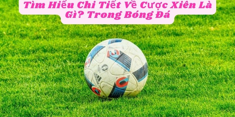 Tìm Hiểu Chi Tiết Về Cược Xiên Là Gì? Trong Bóng Đá