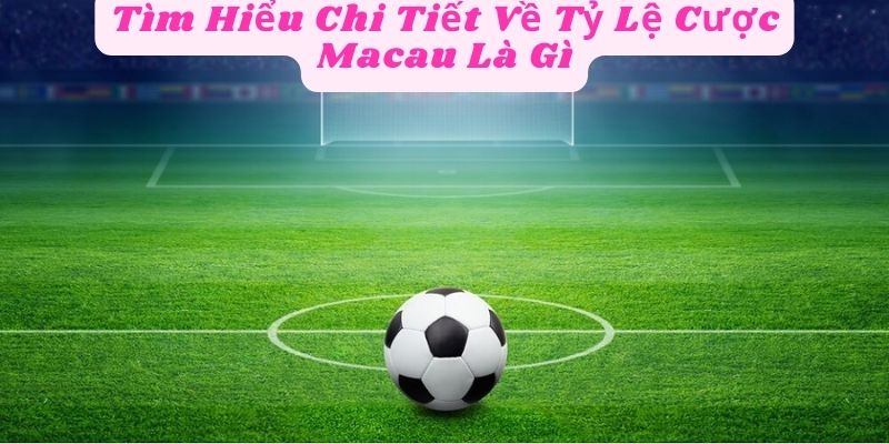 Tìm Hiểu Chi Tiết Về Tỷ Lệ Cược Macau Là Gì