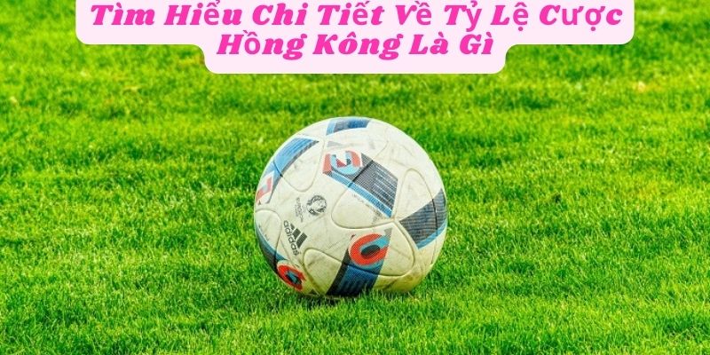 Tìm Hiểu Chi Tiết Về Tỷ Lệ Cược Hồng Kông Là Gì