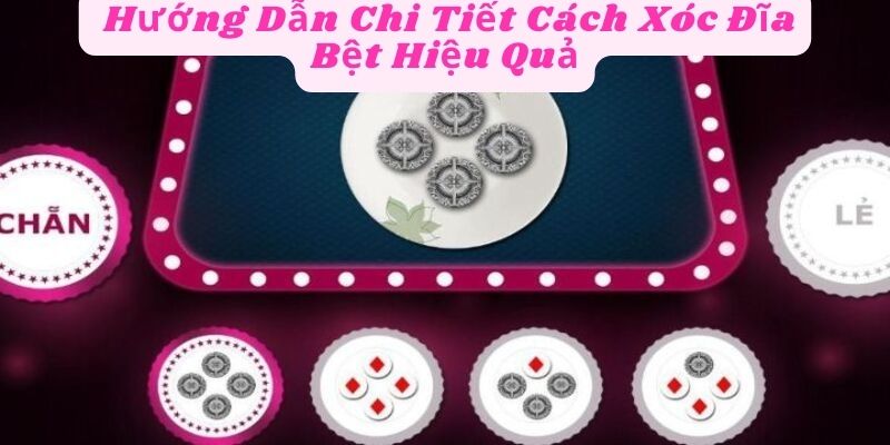  Hướng Dẫn Chi Tiết Cách Xóc Đĩa Bệt Hiệu Quả