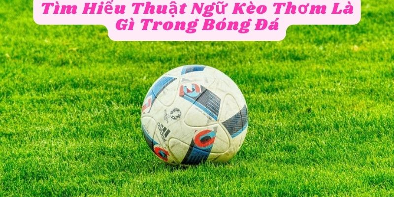 Tìm Hiểu Thuật Ngữ Kèo Thơm Là Gì Trong Bóng Đá