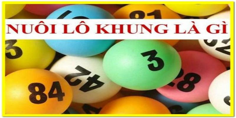 Giới thiệu nuôi lô khung hiệu quả