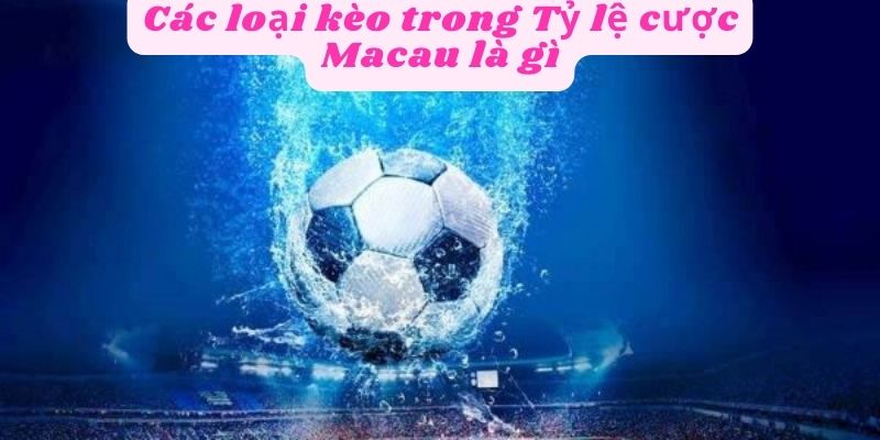 Các loại kèo trong tỷ lệ cược Macau là gì