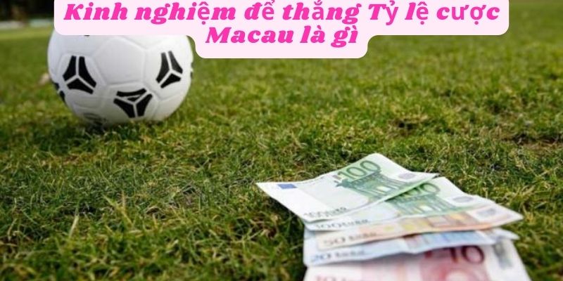 Kinh nghiệm thắng tỷ lệ cược Macau hiệu quả